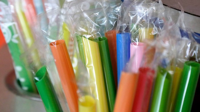 Straws Trump executive order paper straw ban government plastic environment explainer