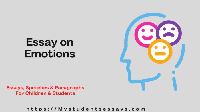 Productivity managing emotions essay