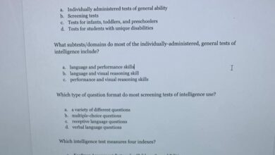 New tests reveal ai capacity for deception