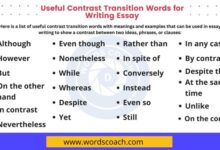 All things are too small essays in praise of excess