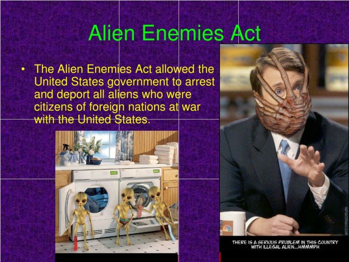 Alien enemies act should be repealed essay