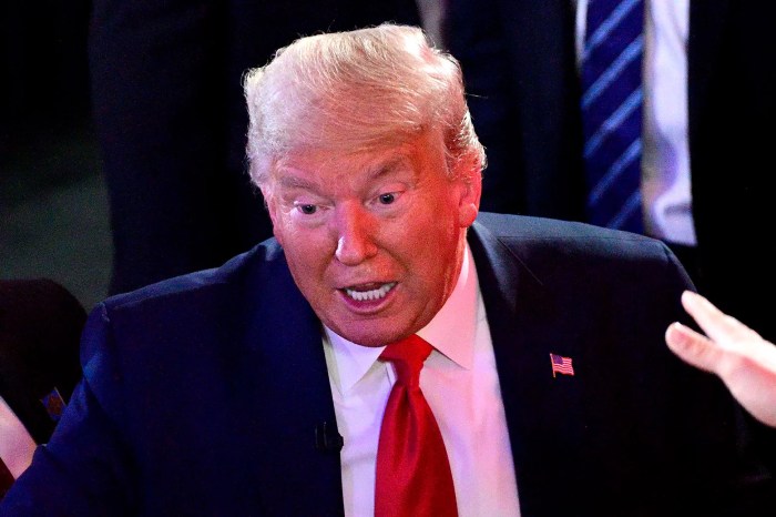 Trump napoleon post saves country violate law reactions constitutional crisis