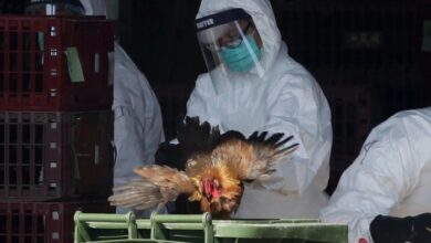 Trump bird flu pandemic office