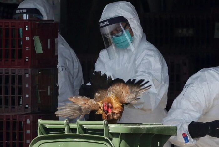 Trump bird flu pandemic office