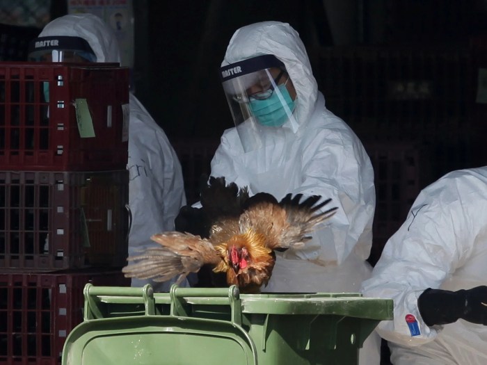 Trump bird flu pandemic office