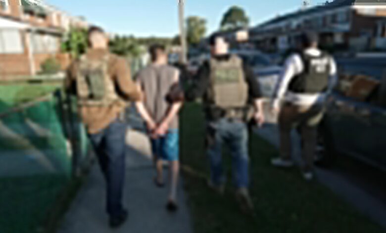 Trump mass deportation raids