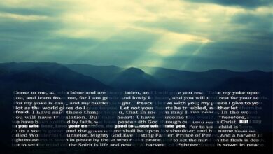 The art of protecting your peace essay