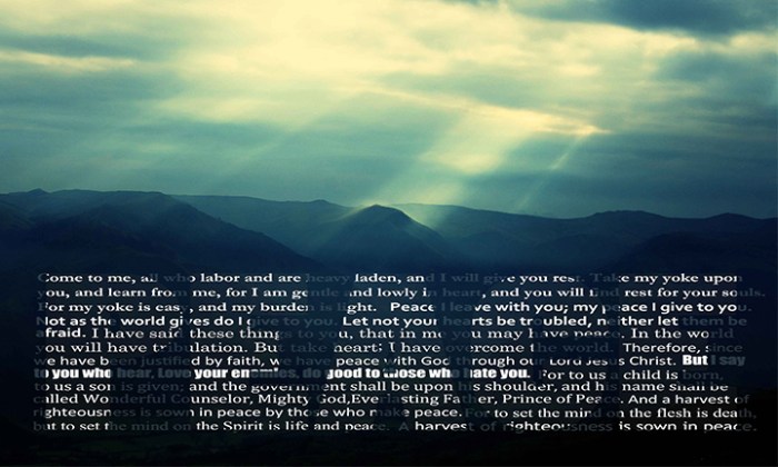 The art of protecting your peace essay