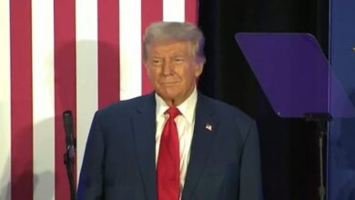 Cost trump firing dei workers