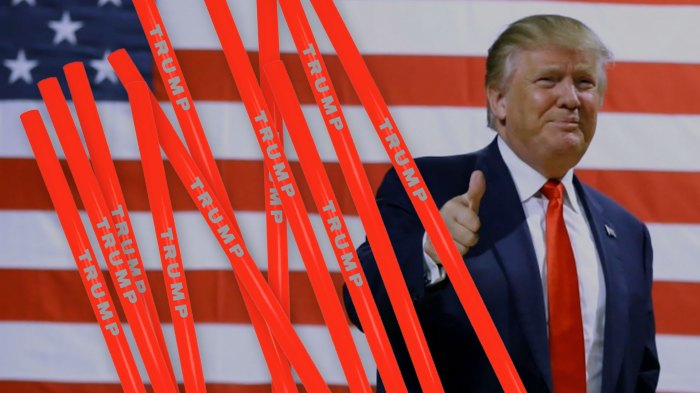 Trump executive order paper straw ban government plastic environment explainer