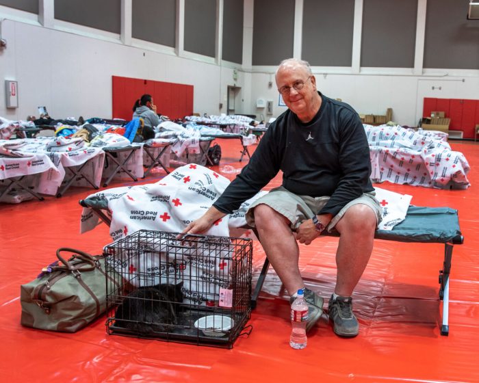 Wildfires California wildfires displaced pets veterinarian