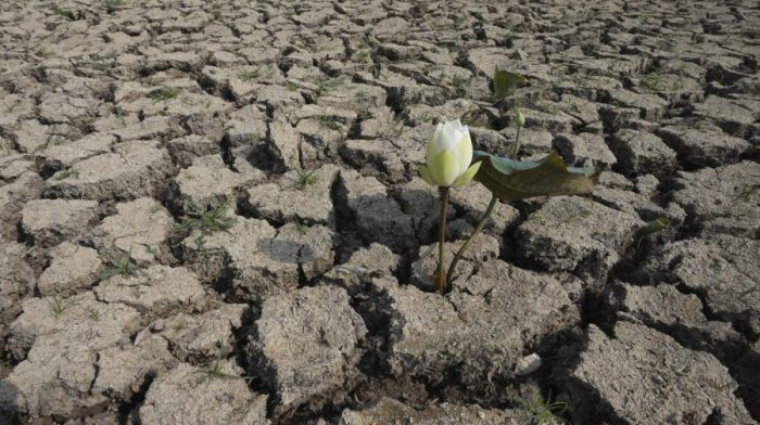 Three quarters of the earth has gotten permanently drier