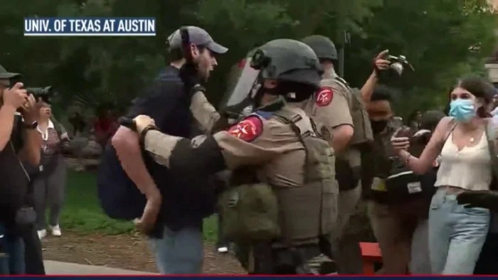 Pro palestine protests suppressed democratic countries