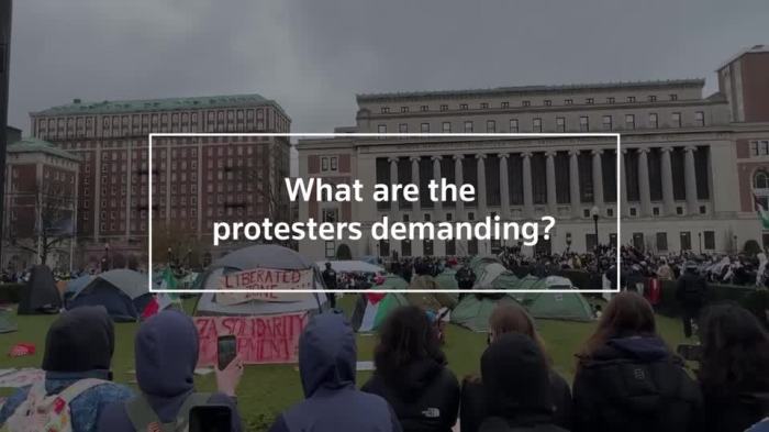 Pro palestine protests suppressed democratic countries