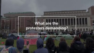 Pro palestine protests suppressed democratic countries