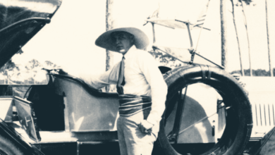 Vizcaya miami gardens museum house writes wikipedia