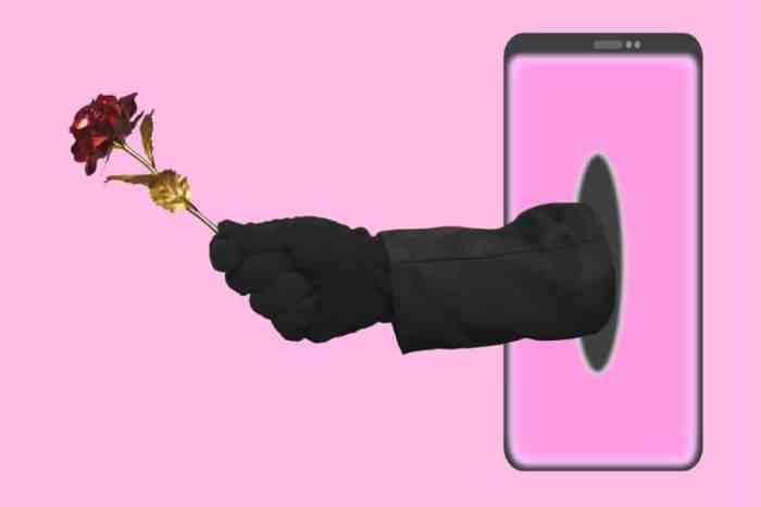 Romance scams victims blame essay