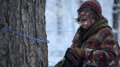 Maple syrup heist the sticky amazon