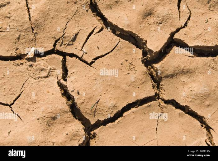 Three quarters of the earth has gotten permanently drier