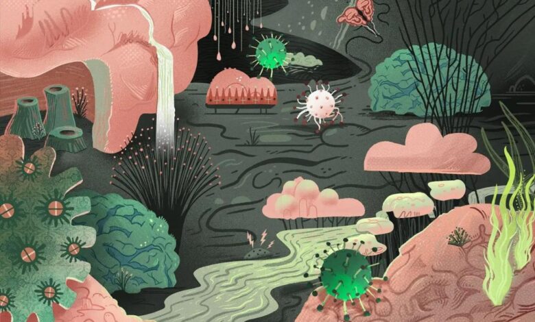 Bird flu symptoms h5n1 conjunctivitis