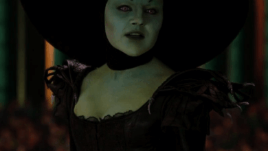 Wicked wizard of oz connections