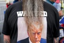 White christianity trump election essay