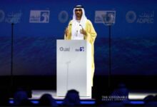Sultan al jaber climate finance cop29 uae consensus