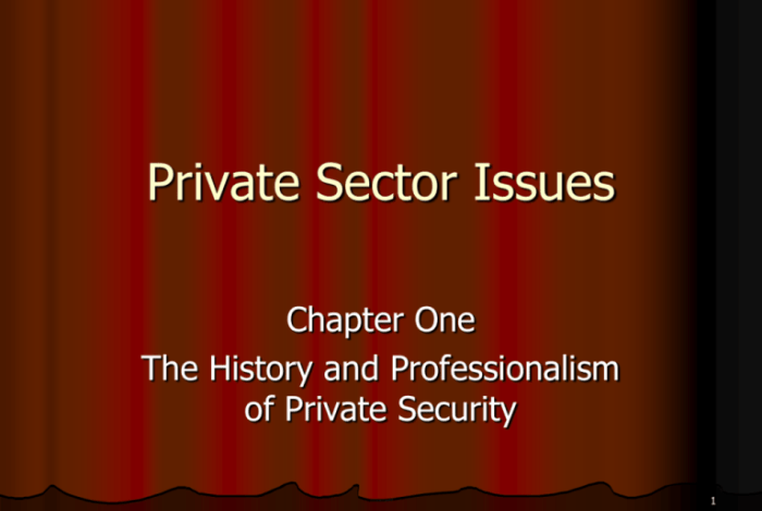 Private sector cant fix america essay