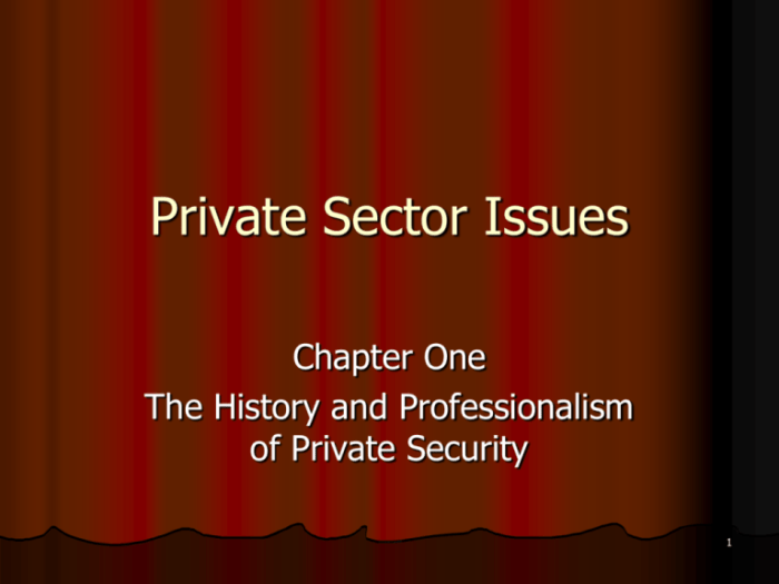 Private sector cant fix america essay
