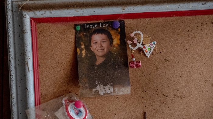 Sandy hook father alex jones book interview