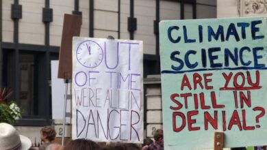 Climate scientist optimist refuse to give up hope