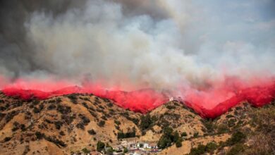 Los angeles wildfires history