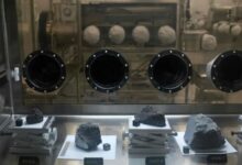 Asteroid samples contain building blocks of life