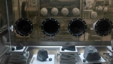 Asteroid samples contain building blocks of life