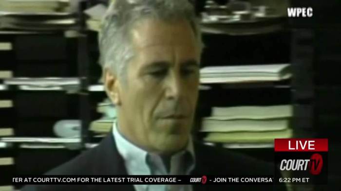 Jeffrey epstein list files disappoint julie brown jacob shamsian reactions