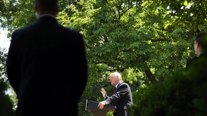 How schools are navigating trump immigration policies