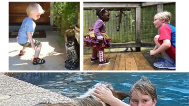 Gidon lev holocaust story essay