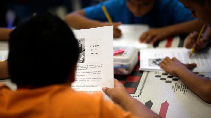 Trump immigration plan How schools are navigating trump immigration policies
