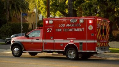 Los angeles fires insurance
