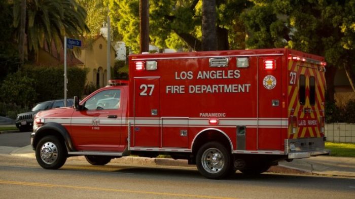 Los angeles fires insurance