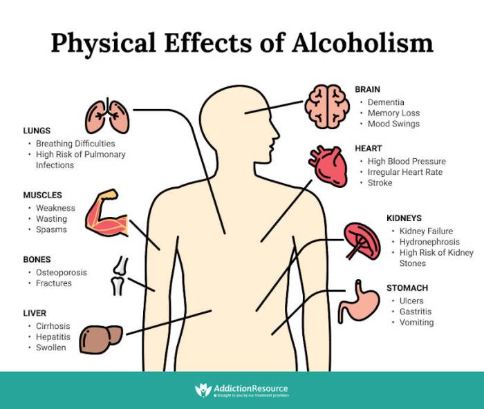 Alcohol harmful organs consequences bodily laminated cocaine addiction internal consumption efectos immediate organismo detrimental Why is alcohol unhealthy