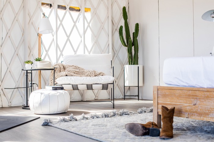 Amber venz box ltk interview