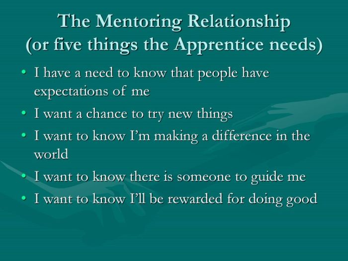 Mentor Training Workshop - ppt download Five lessons mentor trust work mentorship
