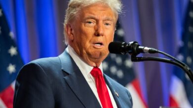 Trump tariffs imports mexico canada china