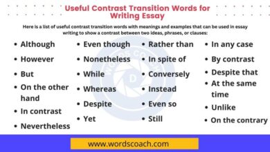 All things are too small essays in praise of excess