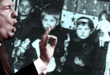 Birthright citizenship test cases