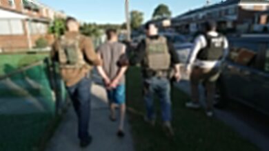 Trump mass deportation raids