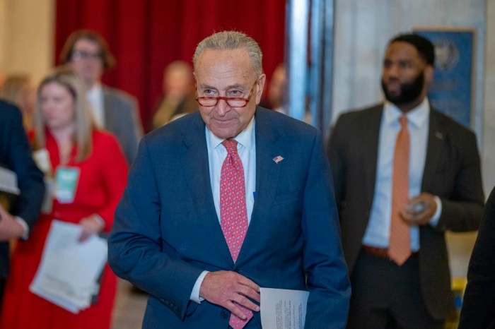 Senate democrats budget vote