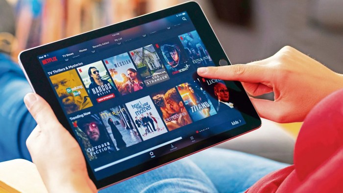Offline love netflix reality
