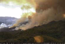 Palisades incident wildfire